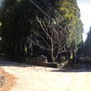 남원읍-66 이미지