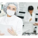 더베스트행정사사무소 이미지