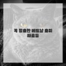 베트남레시피 이미지