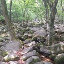 그늘막25 | [공지] 20250525금정산 메쉬그늘막 쉘트설치 해보기 산행