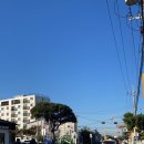 페이퍼 미니어처 하우스 이미지