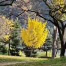 신안평거녹지 이미지