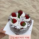 브래드팜 | 고성 빵집 | 키리쉬케이크 사러 강릉에서 고성까지 찾아간 [브레드팜] 솔직후기