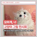 동화빌딩 | [서울 전시] 라이크디즈1601 <묘하게, 너> 고양이 전시회 갤러리카페 방문 후기