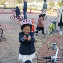 예쁘다 Daum카페