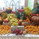 은평-042 이미지