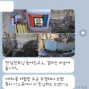 자돈설사(PED) 근절을 위한 수세소독 방법