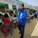 해뜰포럼 환경 캠페인, 계양서부천 벚꽃축제 (24.03.30) 이미지