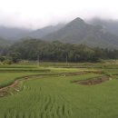 속리산샘물