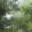 재성수지 이미지