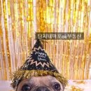 단지내(717-3077)마포OK부동산 이미지