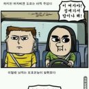 보호본능