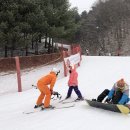 스키광장 | 웰리힐리파크 스키강습 보드레슨 할인 렌탈샵 패키지 할인 가격 후기
