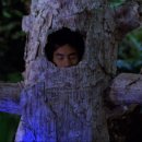 진의함 카카오 검색결과