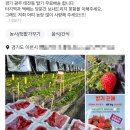 은혜농장2 | 딸기배달해주는 아띠네딸기농장