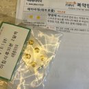 가까운세종충대약국 네이버블로그