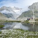 아름다운 나라 이미지