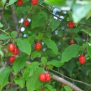 영화마을 이미지