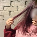 제제미용실 | 홍대 미용실 무제헤어 홍대본점에서 핑크 염색 제제디자이너님