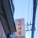 제대로 술한상 | 📍 광화문맛집 종각맛집 청진해물 | 숙성회 한상 제대로 즐긴 후기 🐟✨
