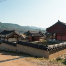 안동꽈배기