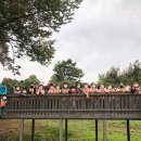 뱃골어린이공원 이미지