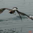 아키아트건축사사무소 이미지