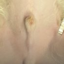 구산동 강아지 이미지