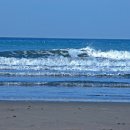 해송과 바다 이미지