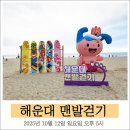 순천만 어싱길 맨발 걷기대회 | [해랑] 2025 해운대 맨발 걷기 대회, 생생 후기!