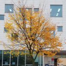 아지매맛집숯불갈비 이미지