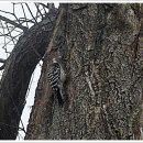 영지농장 이미지