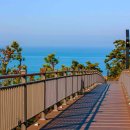 바다와 노을 이미지