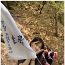 TL태권도 이미지