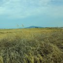 제주 송악산 해안 일제 동굴진지 | 제주여행 송악산