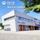 매송주유소 이미지