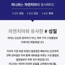 이다기공소 | [일상]내돈내산 결혼 전 치아 1개(반상치/화이트스팟) 미니쉬 치료 후기