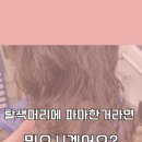 난곡동-42 네이버블로그