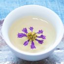 꽃차만들기 이미지