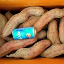 선우농장 이미지