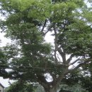 현암경로당 이미지