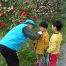 금부초교 이미지