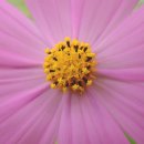 제일신경과의원 이미지