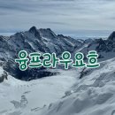 (주)엘리시온인터네트워크 | [퇴사후세계일주] 스위스 인터라켄 융프라우 (스위스 융프라우 VIP패스)