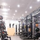 머슬그로우