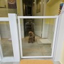 청담슈슈 이미지