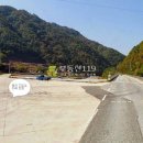 김삿갓면-32 Daum카페