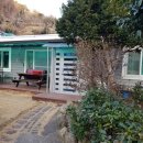 오림동 내동 Daum카페