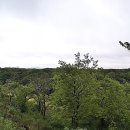 상창리-1 이미지