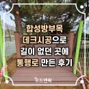 합성방부목 데크시공으로 길이 없던 곳에 통행로 만든 후기 이미지